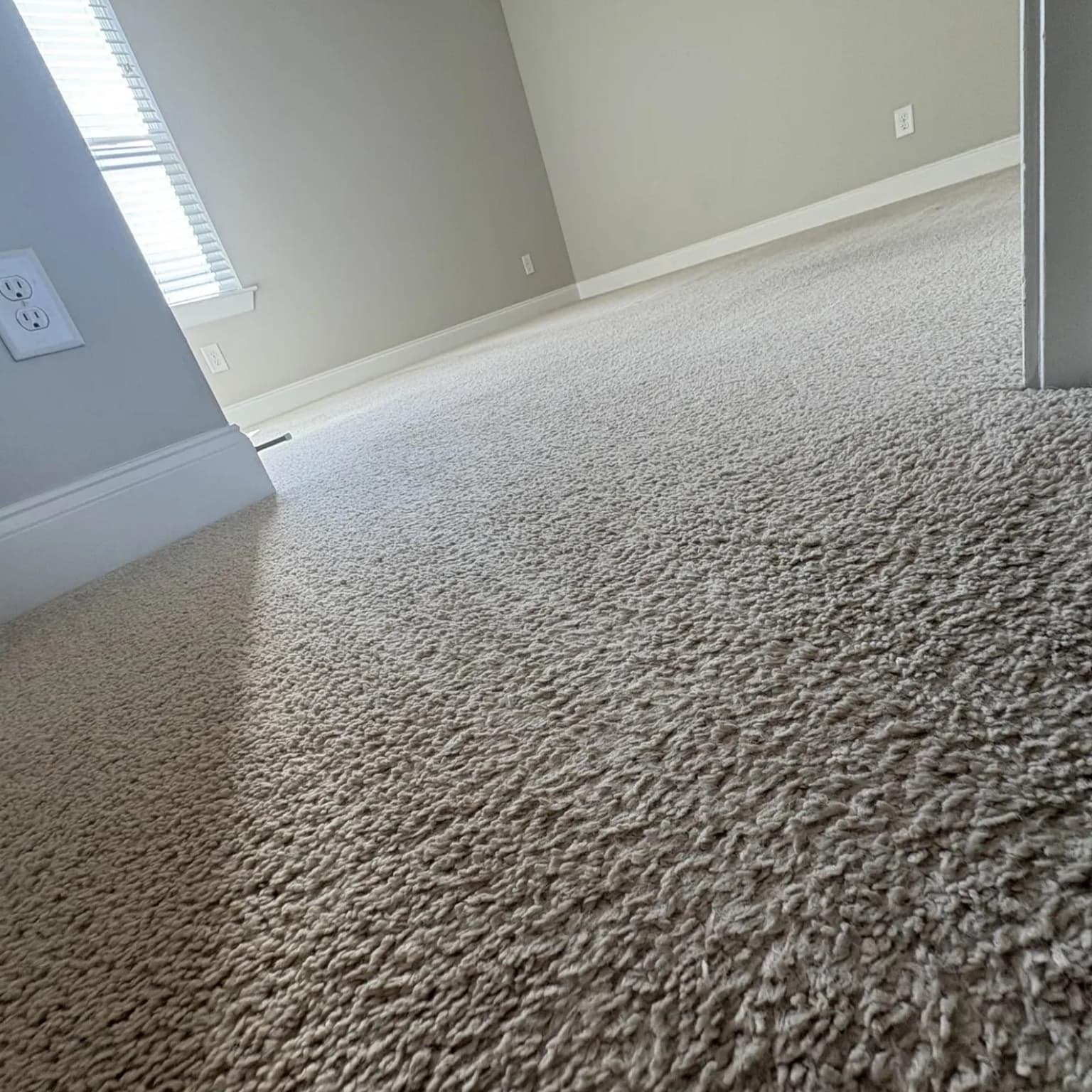 Child on freshly cleaned carpet