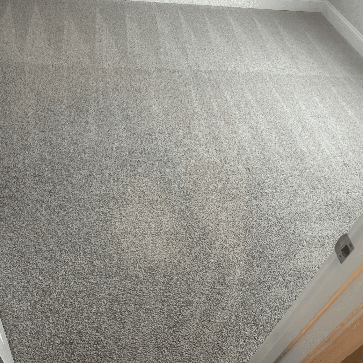 Carpet Cleaning